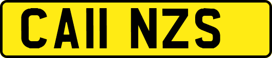 CA11NZS
