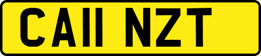 CA11NZT