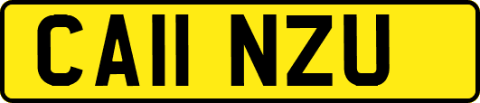 CA11NZU