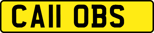 CA11OBS
