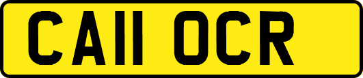 CA11OCR