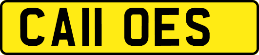 CA11OES