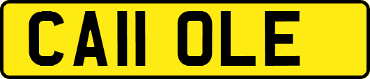 CA11OLE