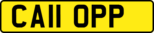 CA11OPP
