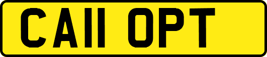 CA11OPT