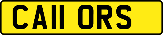 CA11ORS