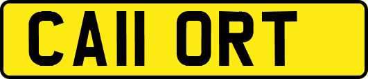 CA11ORT