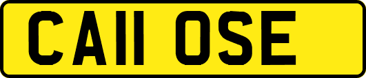 CA11OSE