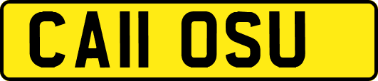 CA11OSU