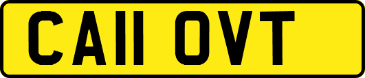 CA11OVT