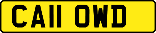 CA11OWD