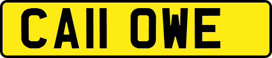 CA11OWE