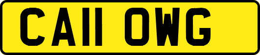 CA11OWG