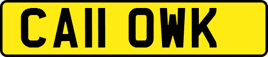 CA11OWK
