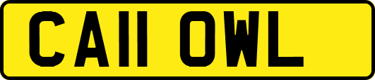 CA11OWL