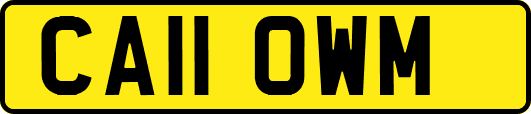 CA11OWM