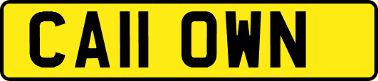 CA11OWN