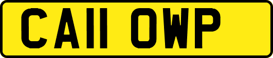 CA11OWP