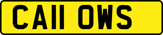 CA11OWS
