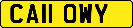 CA11OWY