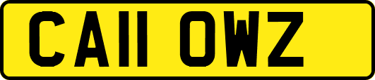CA11OWZ