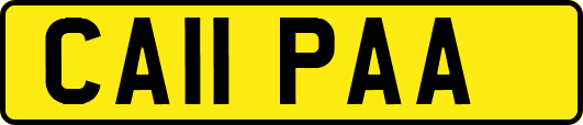CA11PAA