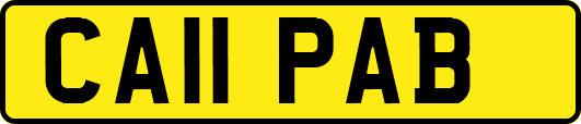 CA11PAB