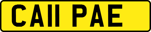 CA11PAE