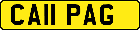 CA11PAG