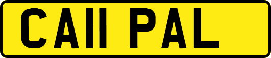 CA11PAL