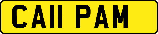 CA11PAM