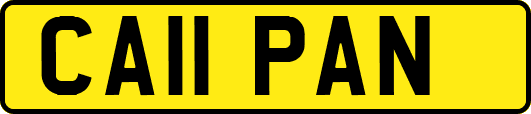 CA11PAN