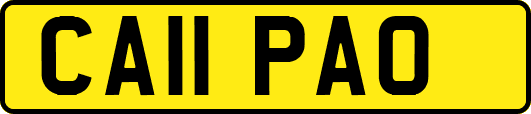 CA11PAO