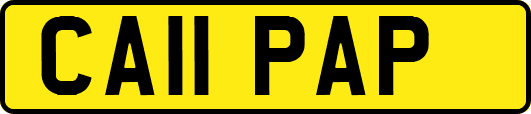 CA11PAP