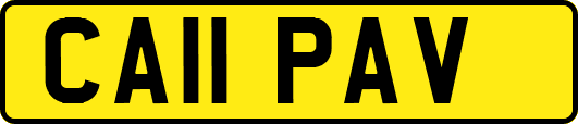CA11PAV