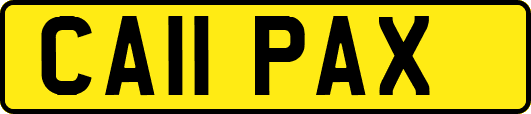CA11PAX