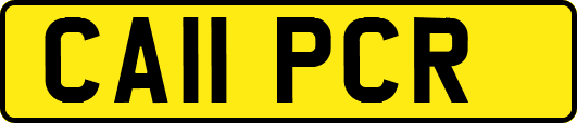 CA11PCR