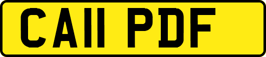 CA11PDF