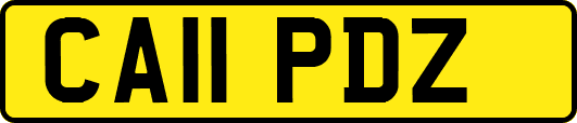 CA11PDZ