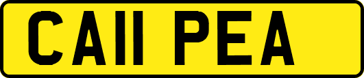 CA11PEA