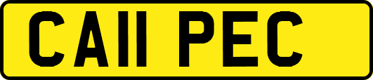 CA11PEC