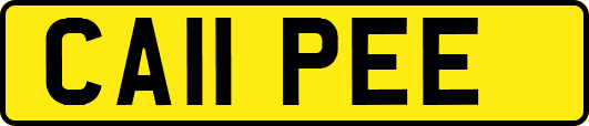 CA11PEE