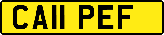 CA11PEF