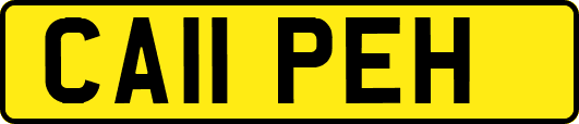 CA11PEH
