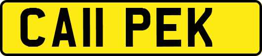 CA11PEK
