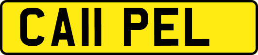 CA11PEL