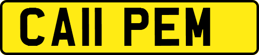 CA11PEM