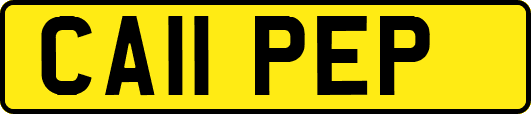CA11PEP