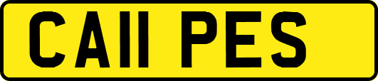 CA11PES