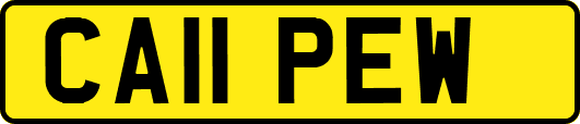CA11PEW